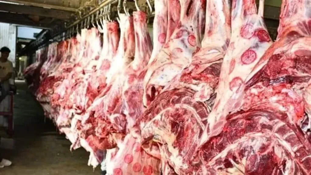 مفاجآت من وزارة الزراعة حول أسعار اللحوم