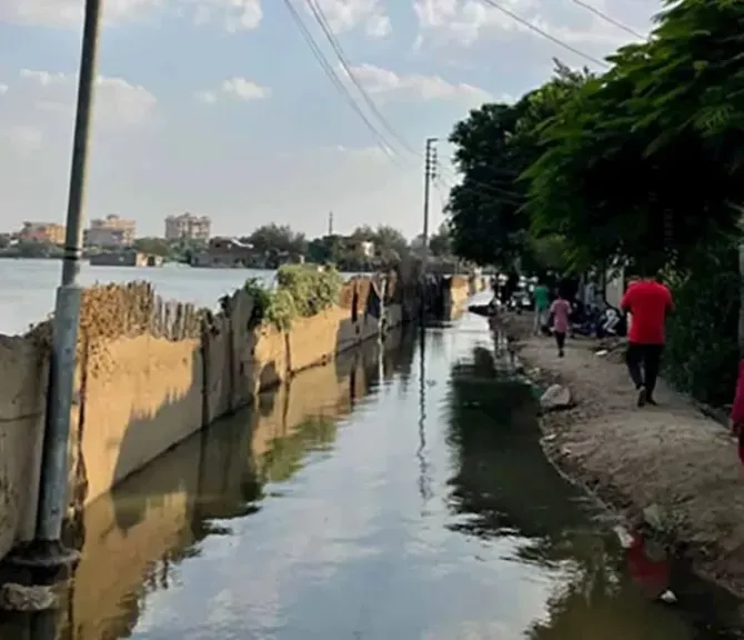 1241 فدانًا تغرق بالمنوفية وتحذيرات بالإخلاء العاجل