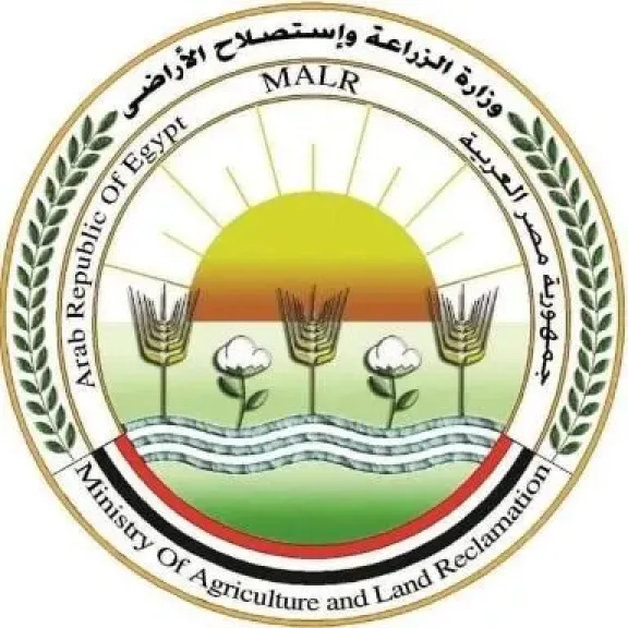 مصر تستضيف منتدى الأرز الأفريقي.. الثلاثاء المقبل