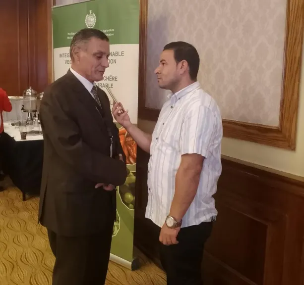 المحاصيل الحقلية: مصر تذهل أفريقيا بتجربتها الرائدة في زراعة الأرز