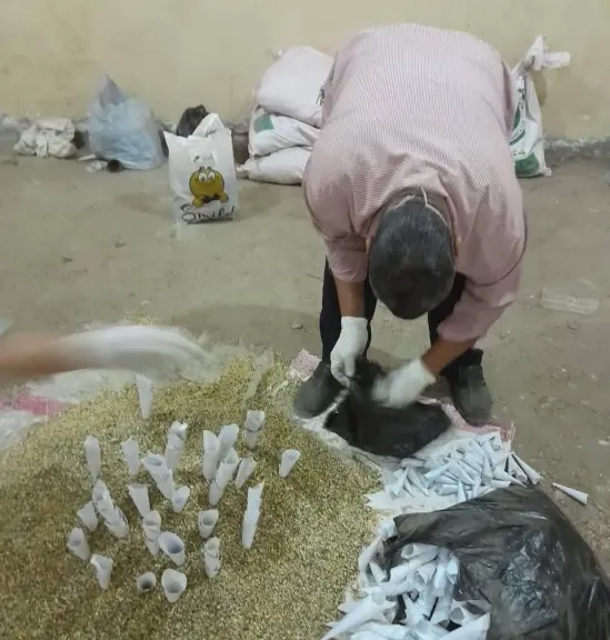 انطلاق أكبر حملة لحماية المحاصيل من القوارض
