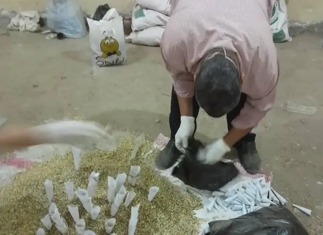 انطلاق أكبر حملة لحماية المحاصيل من القوارض