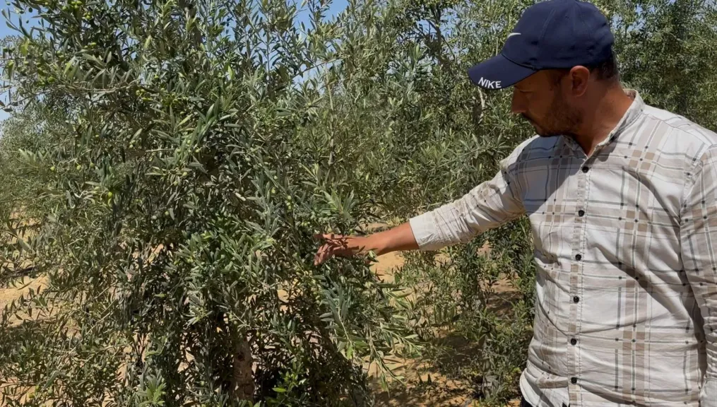 أسرار مخفية لشركات المخصبات يكشفها تزهير النبات