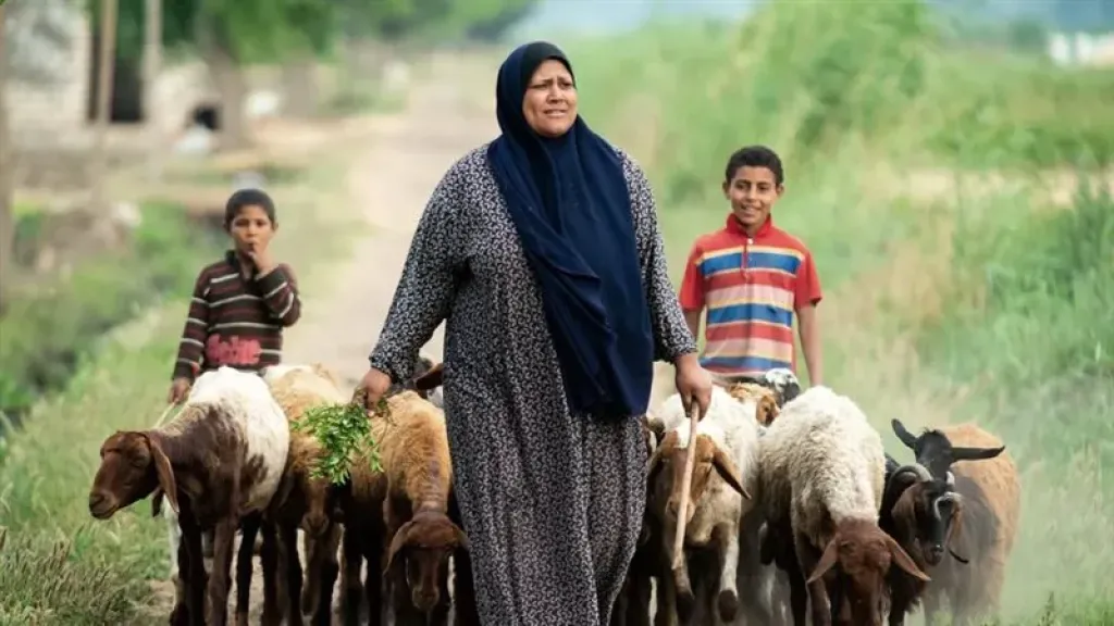 15 أكتوبر يوم لتكريم الزراعة عبر نسائها