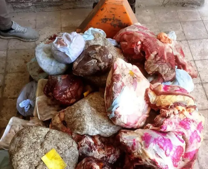 ضبط 350 كجم لحوم فاسدة في سوهاج