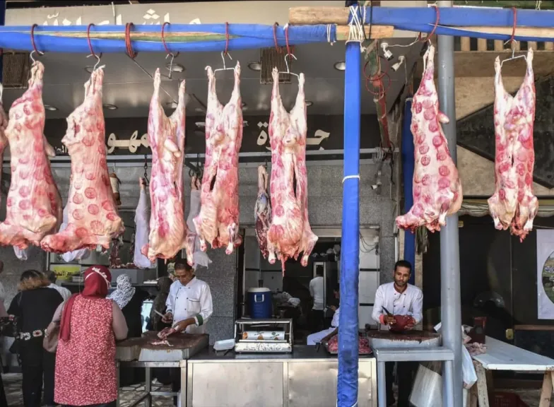 «الزراعة» : حملات تفتيش واسعة للرقابة على أسواق اللحوم