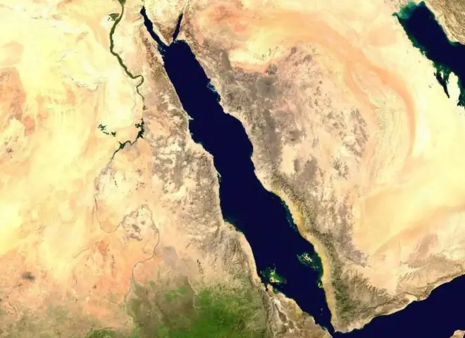 انفراجة تفتح الباب للتصدير الزراعي في مصر والهند
