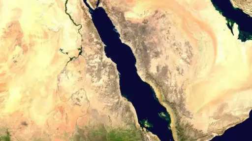 انفراجة تفتح الباب للتصدير الزراعي في مصر والهند