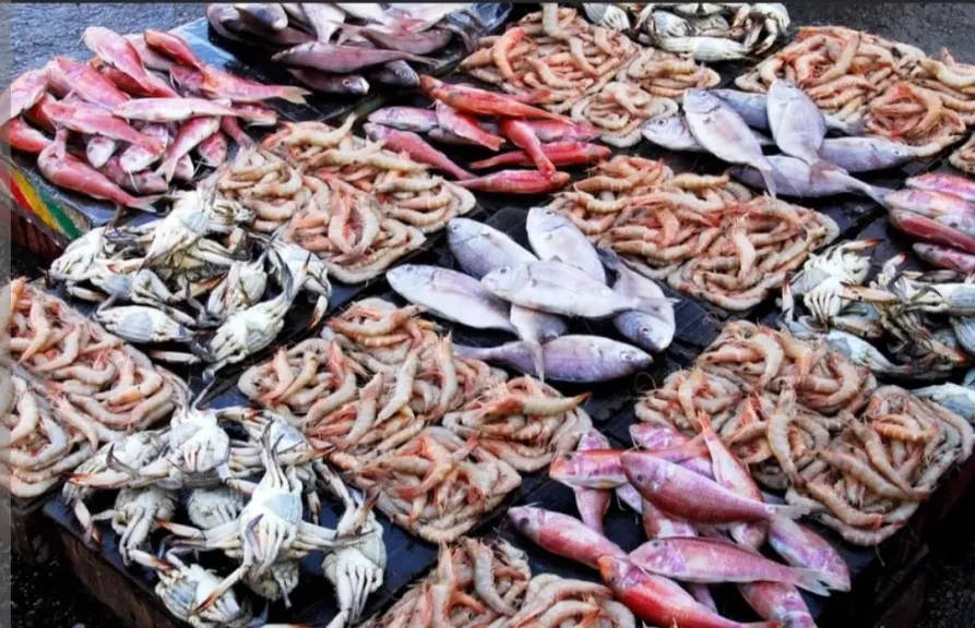 بعد زيادة أسعار المحروقات: ارتفاع جديد بأسعار الأسماك في سوق الجملة بالعبور
