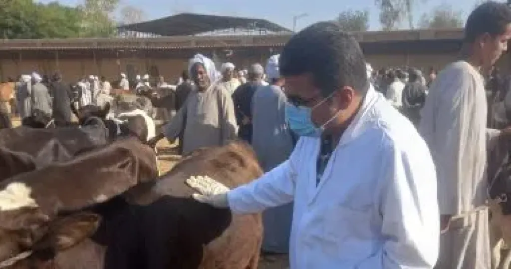 إطلاق دورة احترافية في الإسعافات البيطرية بسخا