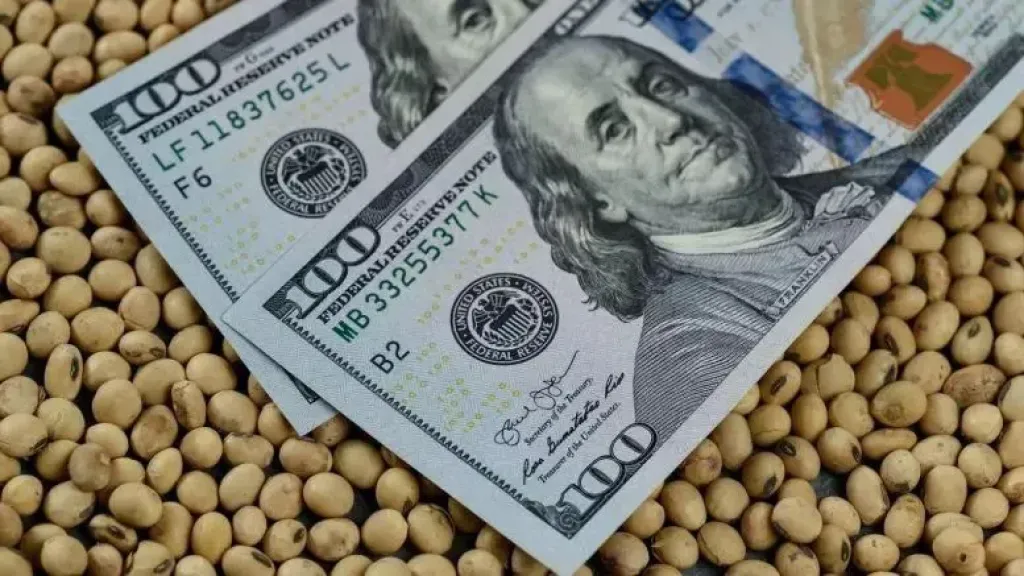 تفاؤل حذر يرفع أسعار فول الصويا الأمريكي