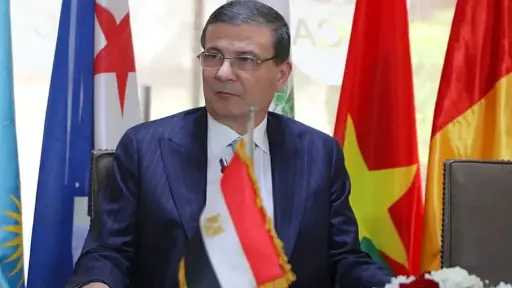 مصر تعزز التعاون الزراعي مع أفريقيا لمواجهة تحديات الأمن الغذائي