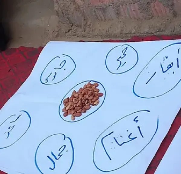 «الزراعة» تدرب الأطباء البيطريين لمواجهة الجوائح