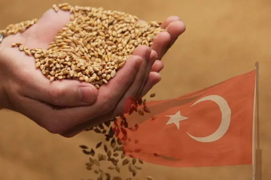 تراجع حاد في إنتاج الحبوب التركي بسبب تقلبات المناخ تراجع حاد في إنتاج الحبوب التركي بسبب تقلبات المناخ