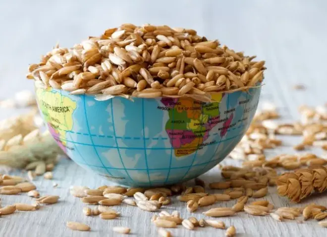 تحولات كبرى في تجارة الحبوب والبذور الزيتية خلال 25 عاما تحولات كبرى في تجارة الحبوب والبذور الزيتية خلال 25 عاما