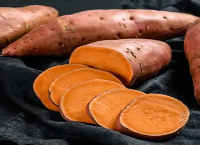 150 ألف طن من المنتجات الزراعية المصرية تغادر الموانئ في أسبوع واحد 150 ألف طن من المنتجات الزراعية المصرية تغادر الموانئ في أسبوع واحد