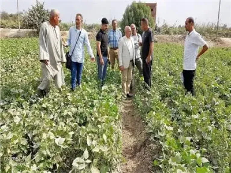 «زراعة المنوفية» تستجيب فورًا لبلاغ أحد المزارعين «زراعة المنوفية» تستجيب فورًا لبلاغ أحد المزارعين