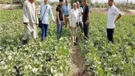 «زراعة المنوفية» تستجيب فورًا لبلاغ أحد المزارعين «زراعة المنوفية» تستجيب فورًا لبلاغ أحد المزارعين