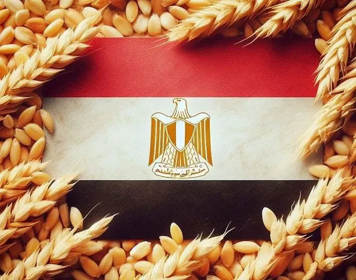 ارتباك هيكلي في سوق الحبوب المصري بعد تغيير آليات الشراء الحكومي