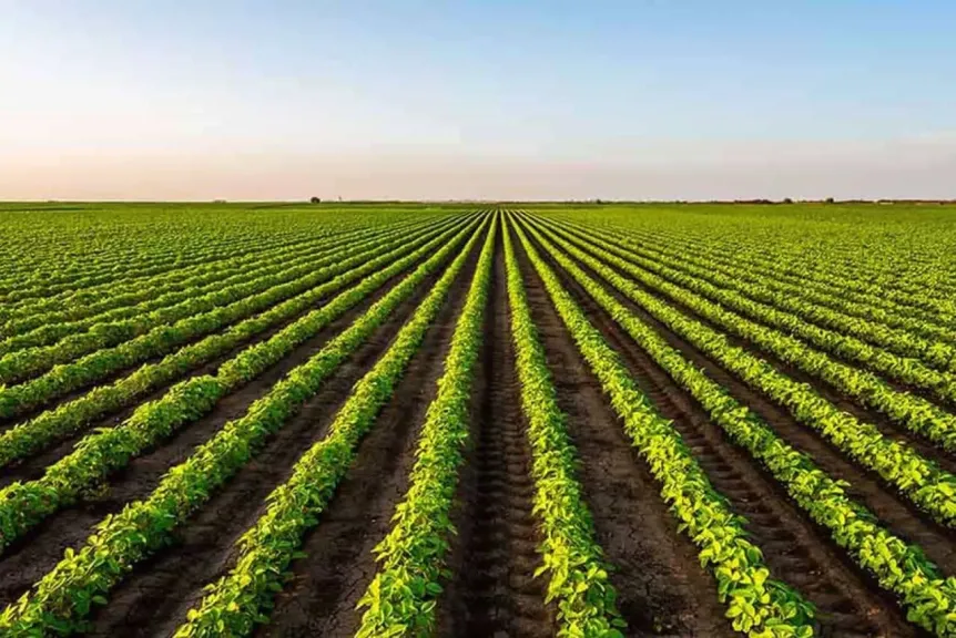 أكبر 10 دول في العالم في الإنتاج الزراعي أكبر 10 دول في العالم في الإنتاج الزراعي