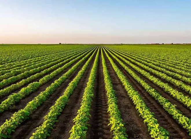 أكبر 10 دول في العالم في الإنتاج الزراعي أكبر 10 دول في العالم في الإنتاج الزراعي