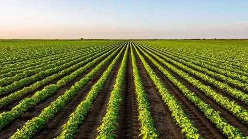 أكبر 10 دول في العالم في الإنتاج الزراعي أكبر 10 دول في العالم في الإنتاج الزراعي