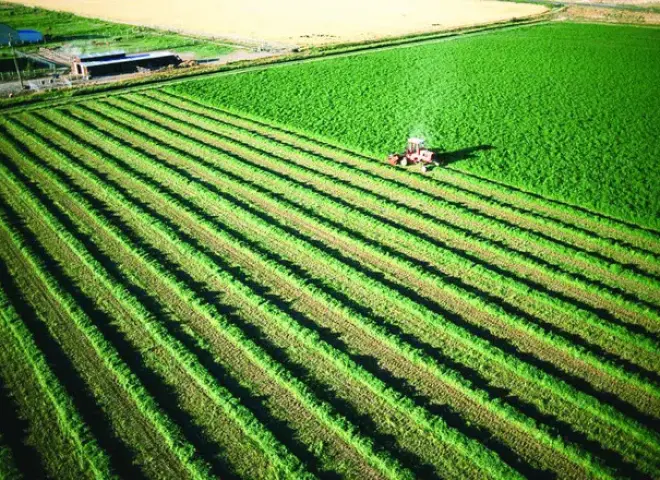 مصر تستعد لاستصلاح 320 ألف فدان جديد جنوب واحة باريس