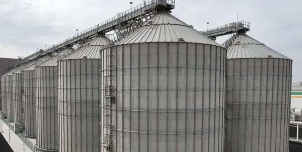 تفاصيل مشروع مصر لإنشاء 50 صومعة قمح جديدة