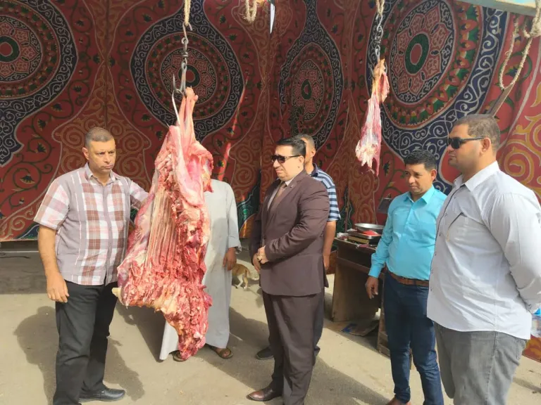 300 جنيه للكيلو.. مبادرة لتوفير اللحوم البلدية بأسعار مناسبة في طهطا