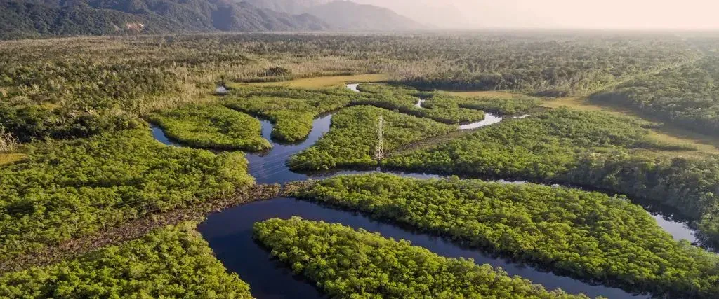 البرازيل تفتح مجرى نهر الأمازون أمام صادرات فول الصويا والذرة على مدار العام