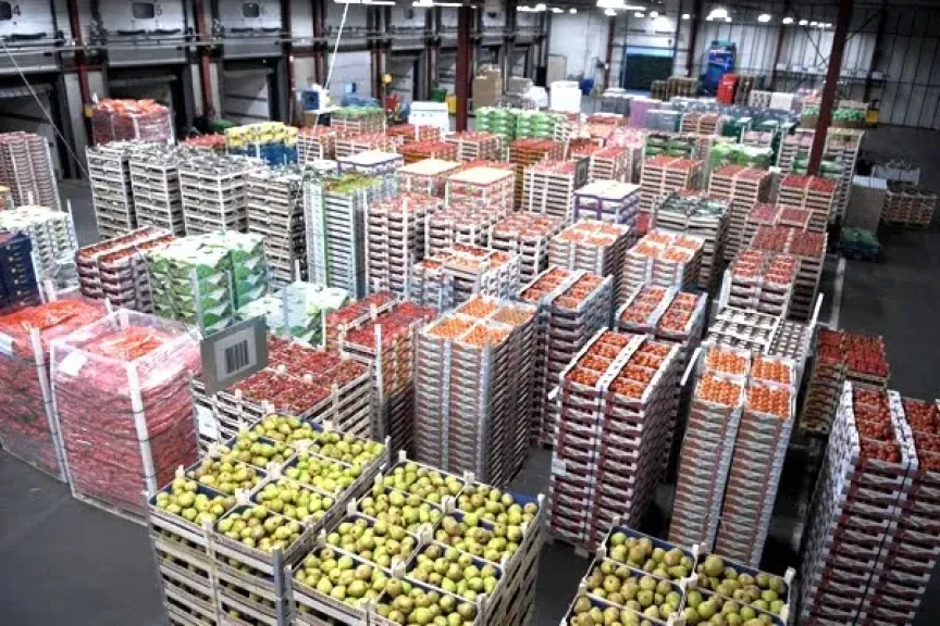 الصين تتصدر صادرات الفاكهة والخضراوات العالمية بارتفاع قوي في 2024