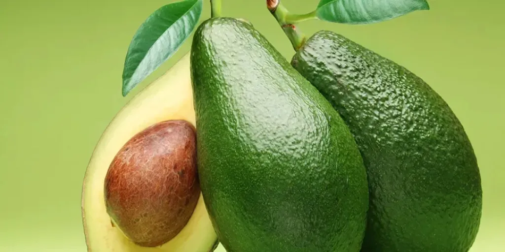 رواندا تدخل السوق الصينية بصادرات الأفوكادو للمرة الأولى