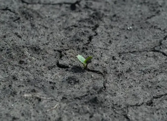 تدهور الأراضي يهدد أمن الغذاء العالمي ويؤثر على مليار إنسان