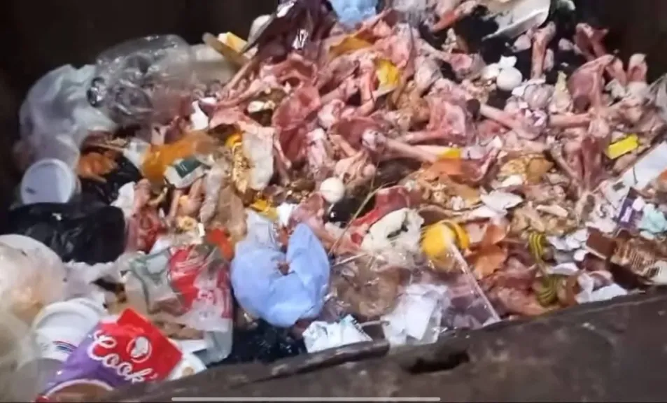 بيطري سوهاج يفجر مفاجأة بشأن عظام الكلاب المزعومة