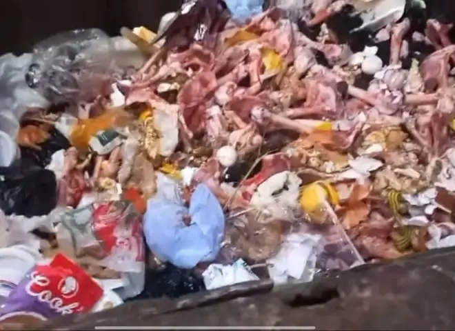 بيطري سوهاج يفجر مفاجأة بشأن عظام الكلاب المزعومة