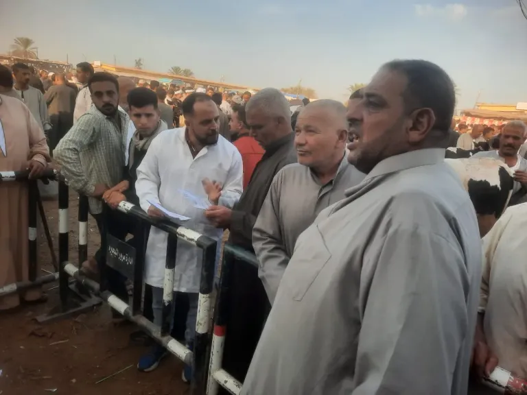 حملة توعوية بيطرية مكثفة لدعم صغار المربين بالبحيرة