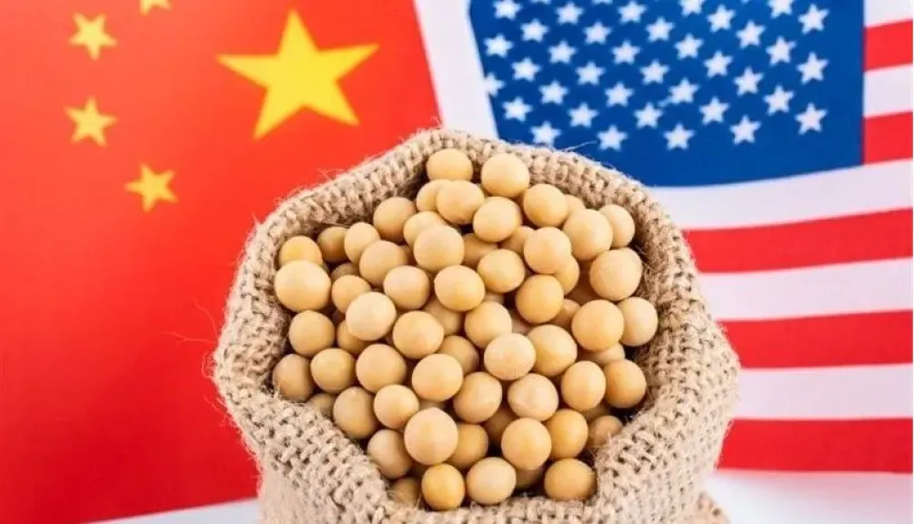 الصين تستأنف استيراد فول الصويا من الولايات المتحدة وترفع حظر الأخشاب