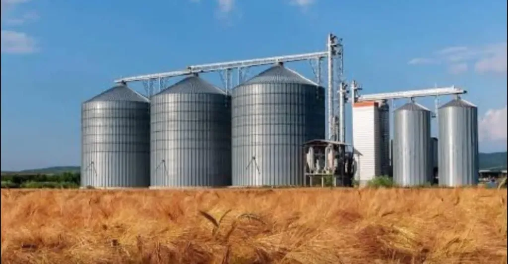 كيف يسهم مشروع الصوامع الجديد في تحقيق الأمن الغذائي؟