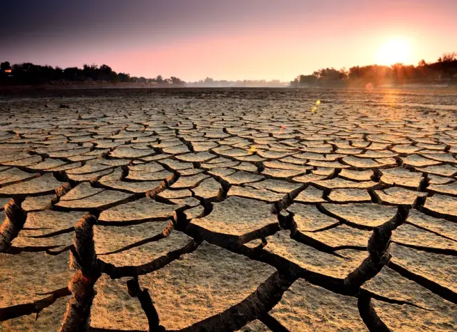 الصراع والجفاف يرفعان أسعار الأعلاف فى السودان ويهددان مزارع الدواجن والماشية