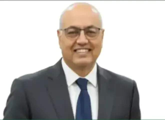 زيت الزيتون.. بين نقاء الفلترة وسحر العكارة الموسمية