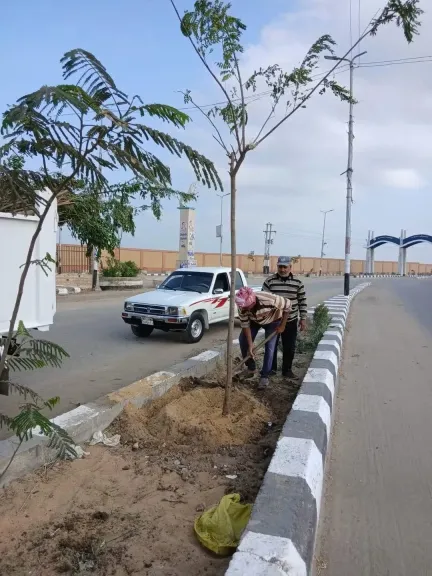 انطلاق المرحلة الرابعة من مبادرة 100 مليون شجرة بالشرقية