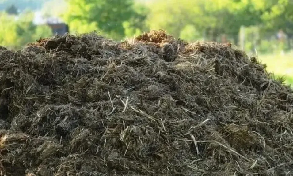 الدليل الشامل لاستخدام الأسمدة العضوية للمزارع الحديثة