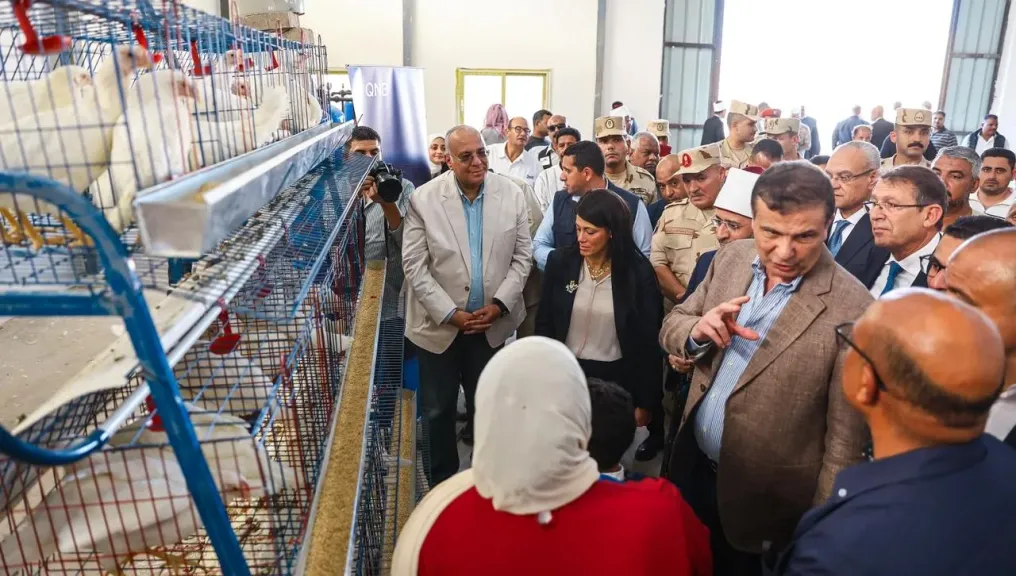 الحكومة: مشروعات تنموية متكاملة في سيناء