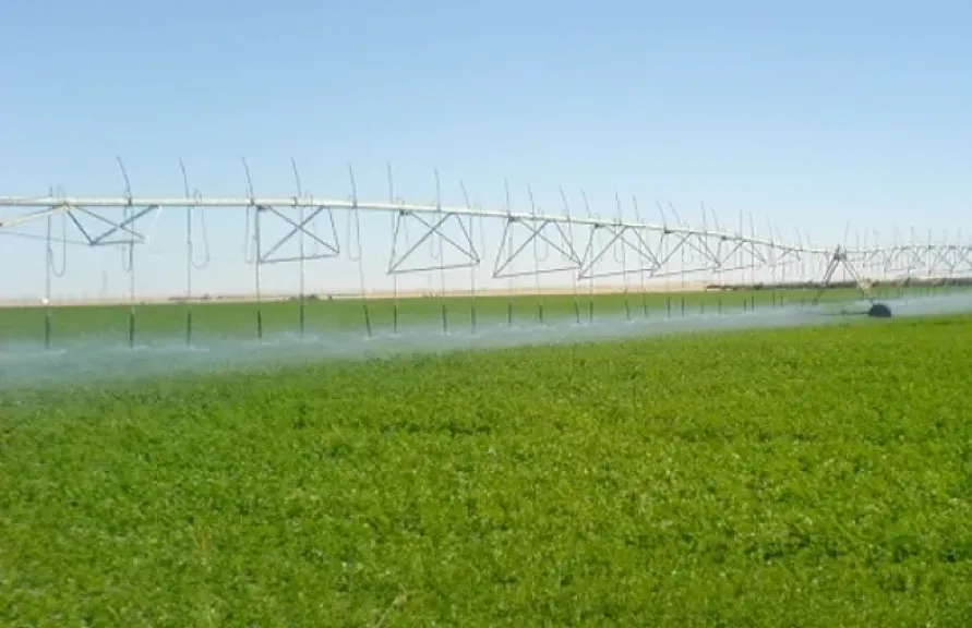 مشروع المليون ونصف فدان يفتح أبواب الاستثمار الزراعي