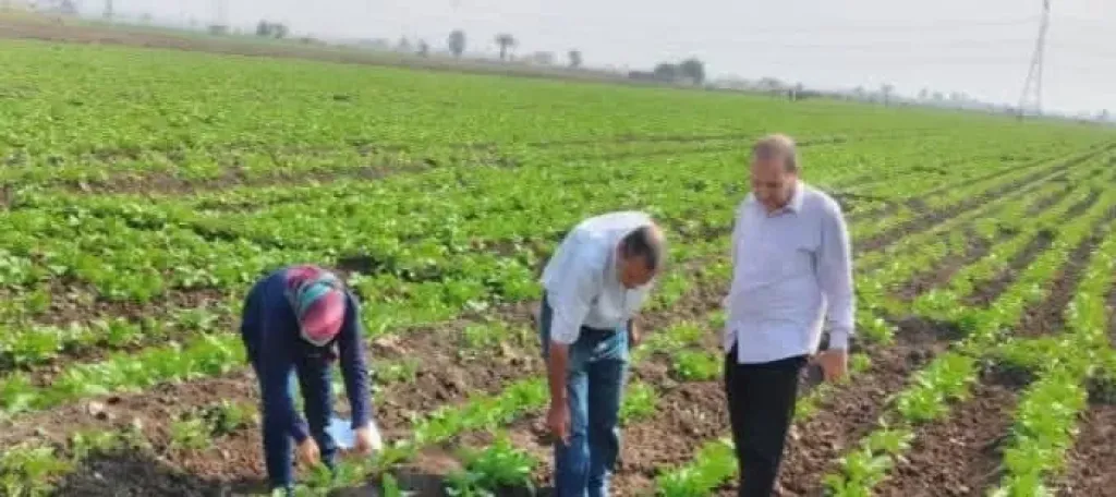 أسيوط تطلق مبادرة لدعم المزارعين وتحسين الإنتاج الشتوي