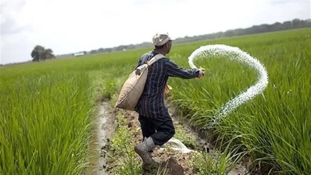 وزارة الزراعة تؤكد صرف الأسمدة لجميع المزارعين الشتوي