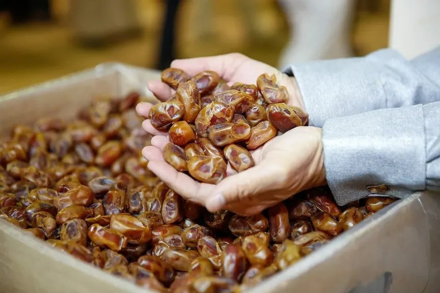 برامج إرشادية جديدة تعزز استدامة مزارع النخيل