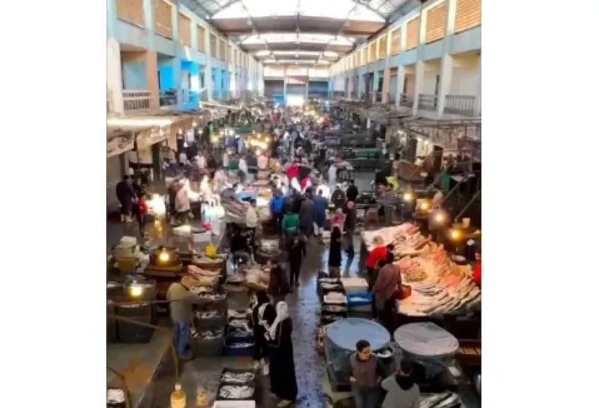 ارتفاع طفيف في أسعار الأسماك بسوق العبور اليوم 18 نوفمبر 2025