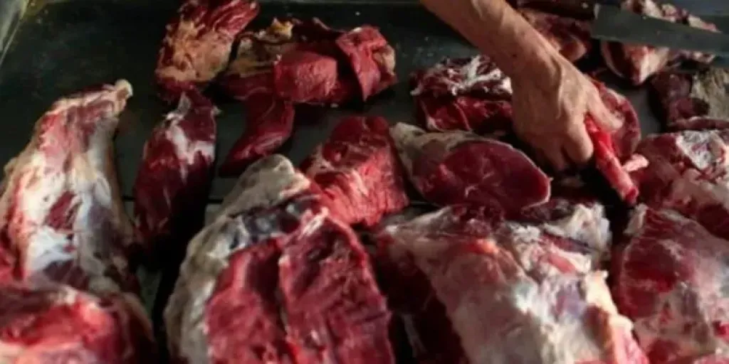 ضبط لحوم جاموسة عشار مريضة قبل طرحها بالأسواق في سوهاج