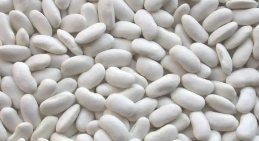 الفاصوليا المصرية تواصل صعودها وتخترق أسواقًا جديدة عالميًا